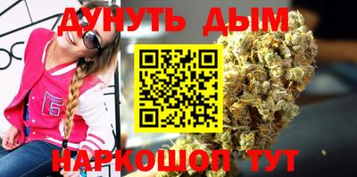 гидропоника Новозыбков
