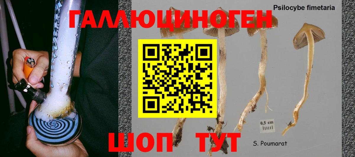 Псилоцибиновые грибы Cubensis Ростов-на-Дону